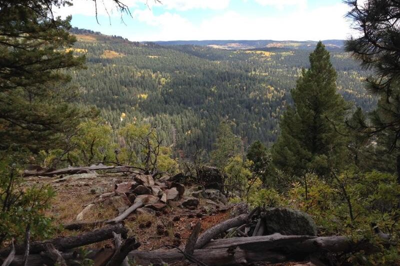 Los Pinos Ranch - New Mexico USA