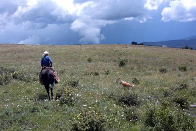 Los Pinos Ranch - New Mexico USA