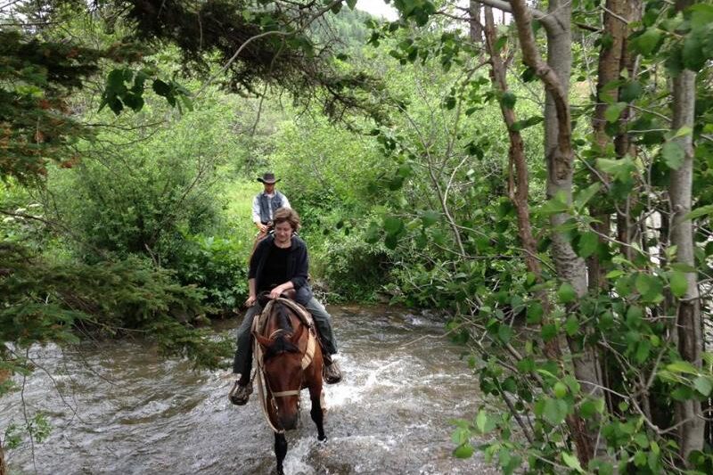 Los Pinos Ranch - New Mexico USA