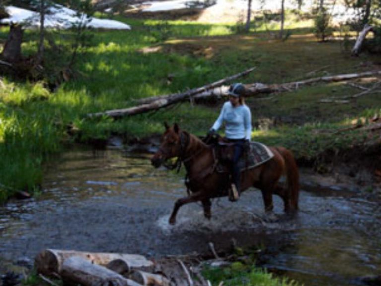 Dude Ranch Vacations ~ A curated guide