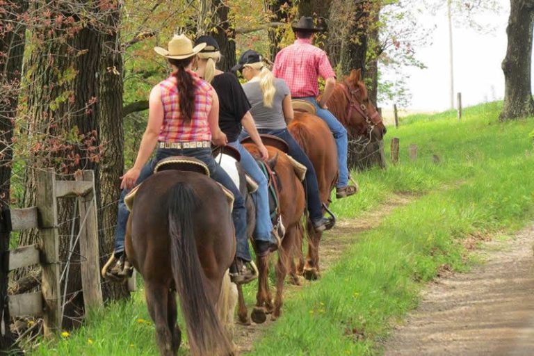 Dude Ranch Vacations with Cattle Drives | a Curated List
