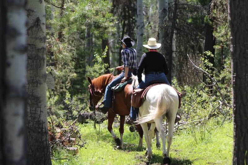 Siwash Lake Ranch - BC Canada