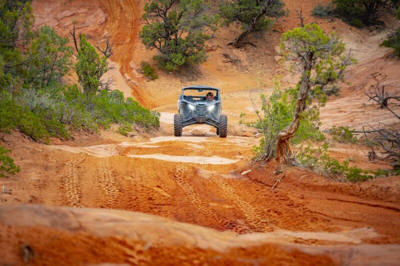 Zion Ponderosa Ranch Resort - UT